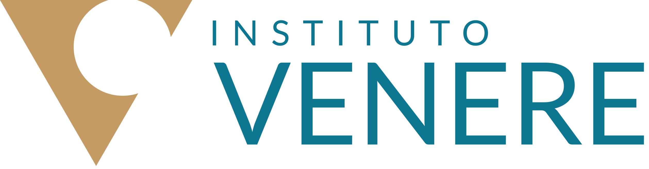 Instituto Venere